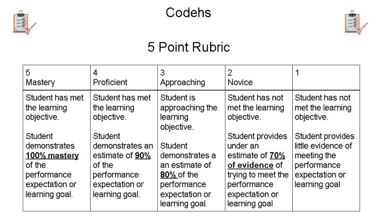 5 point rubric